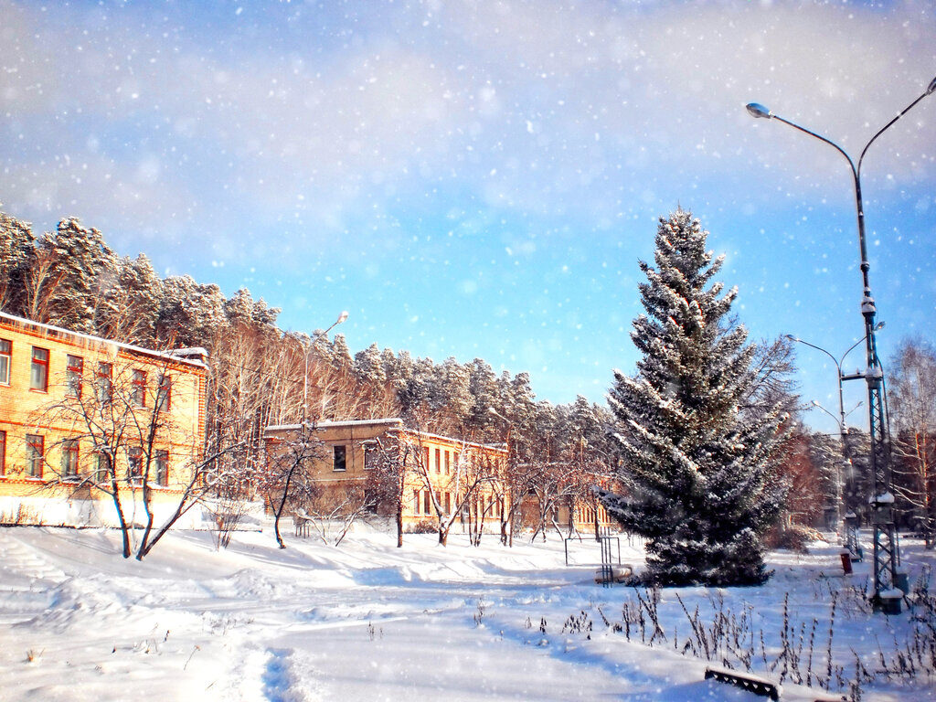 مخيم صيفي Children's Country Camp named after Fedi Gorelova ، مقاطعة تشيليابينسك، صورة
