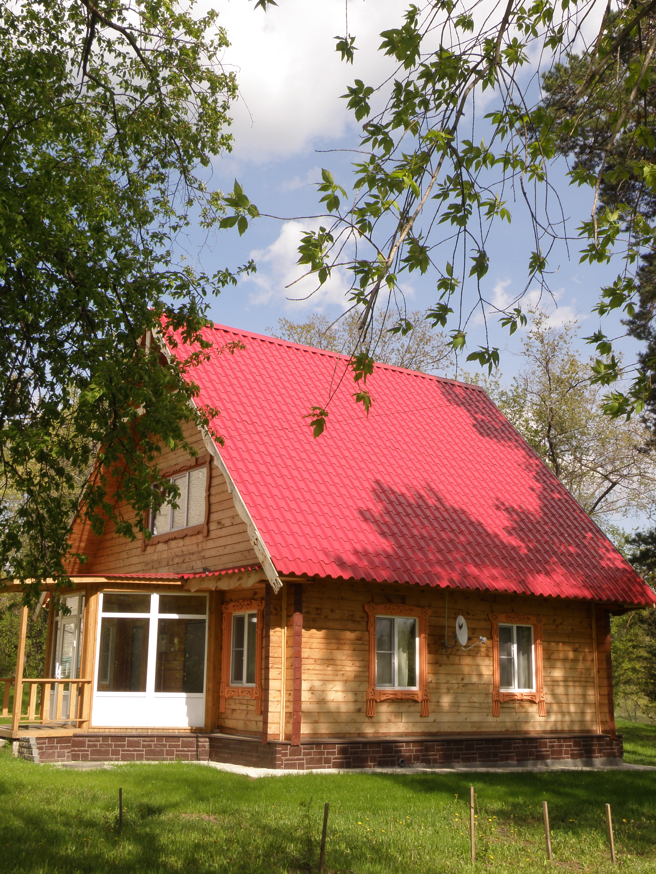 Фото Сосновый бор