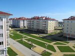 Apartment on Voskresenskaya (Urban-Type Settlement of Sirius, Voskresenskaya Street, 14/1), short-term housing rental