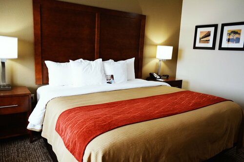 Гостиница Comfort Inn & Suites Covington - Mandeville