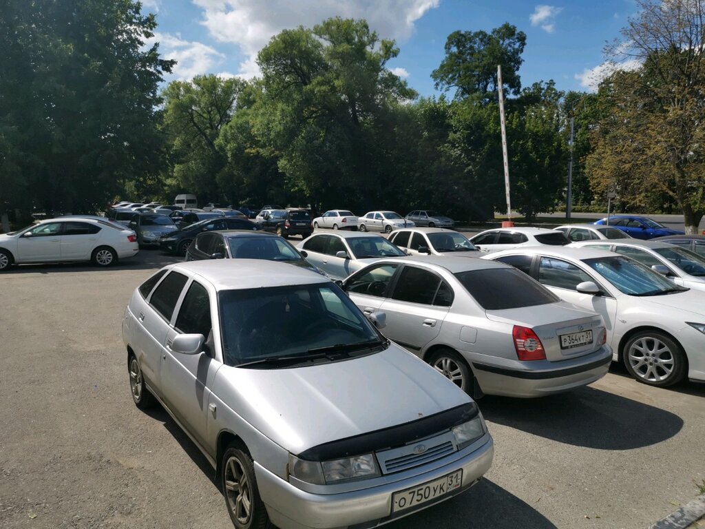 Автомобильная парковка Автомобильная парковка, Белгород, фото