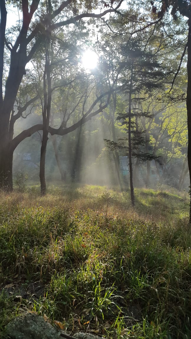 Фото Галина-чайка