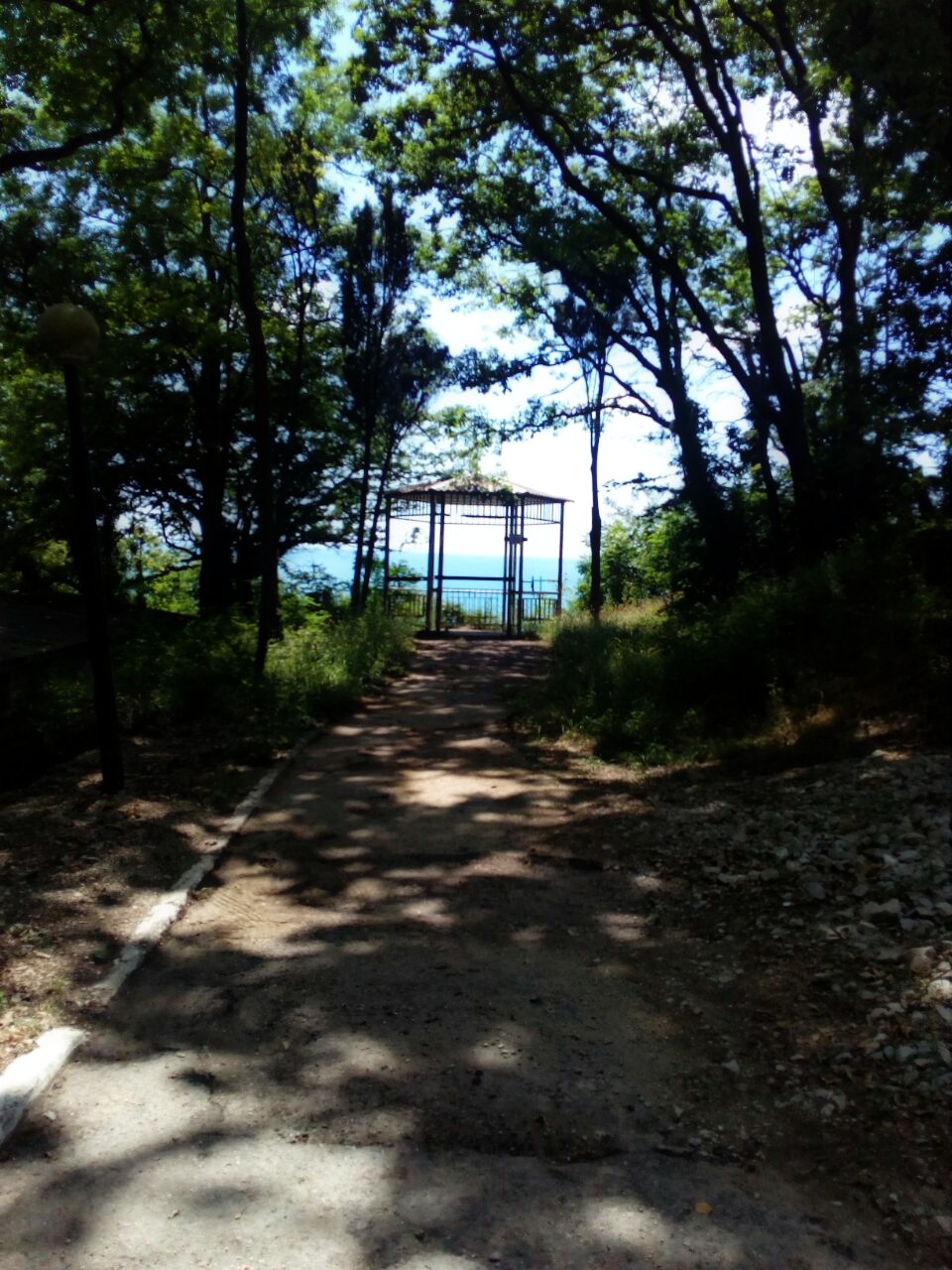 Фото Галина-чайка