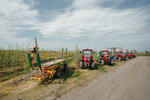 LLC Fruits of the Old Crimea (село Приветное, Трудовая улица, 44), productos agrícolas