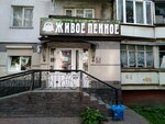 Живое пиво (ulitsa Romashina, 27), beer shop