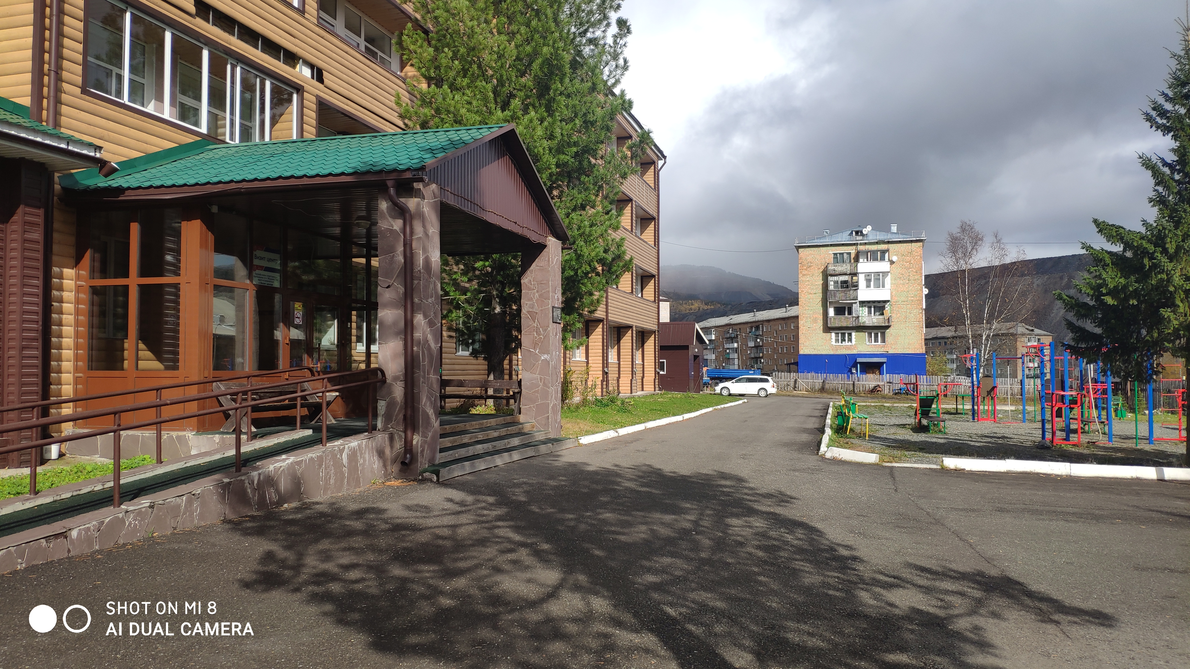 Фото Кедр
