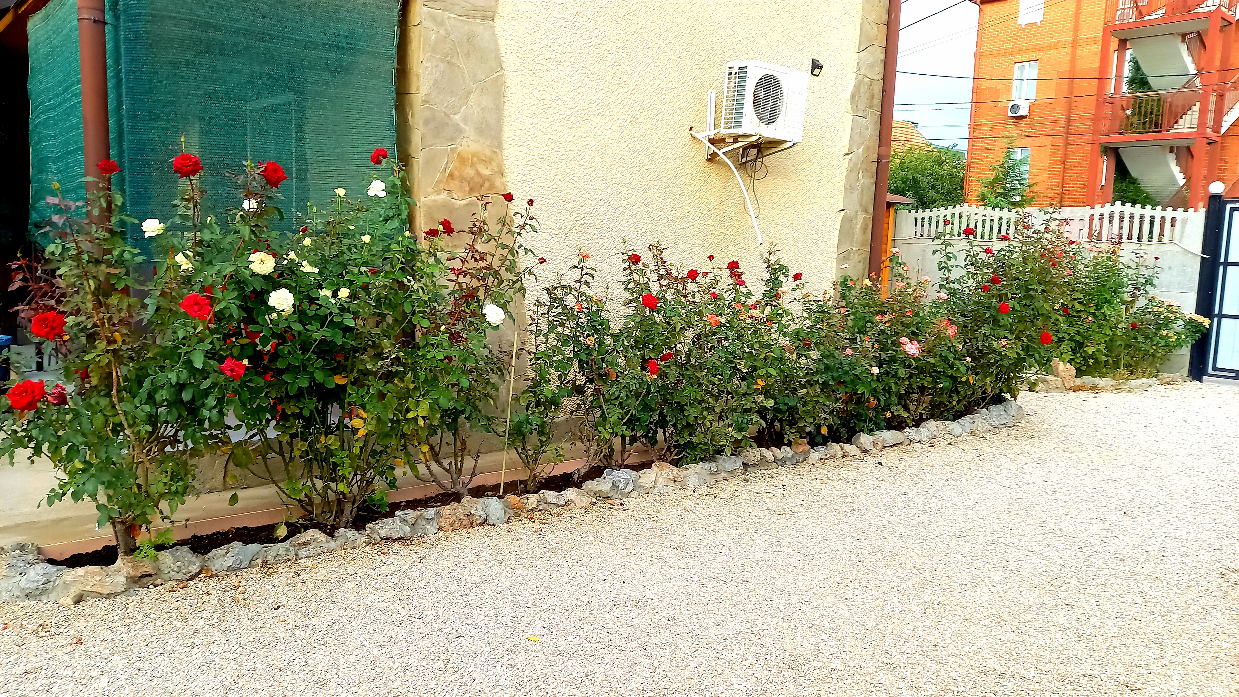 Фото Белый парус