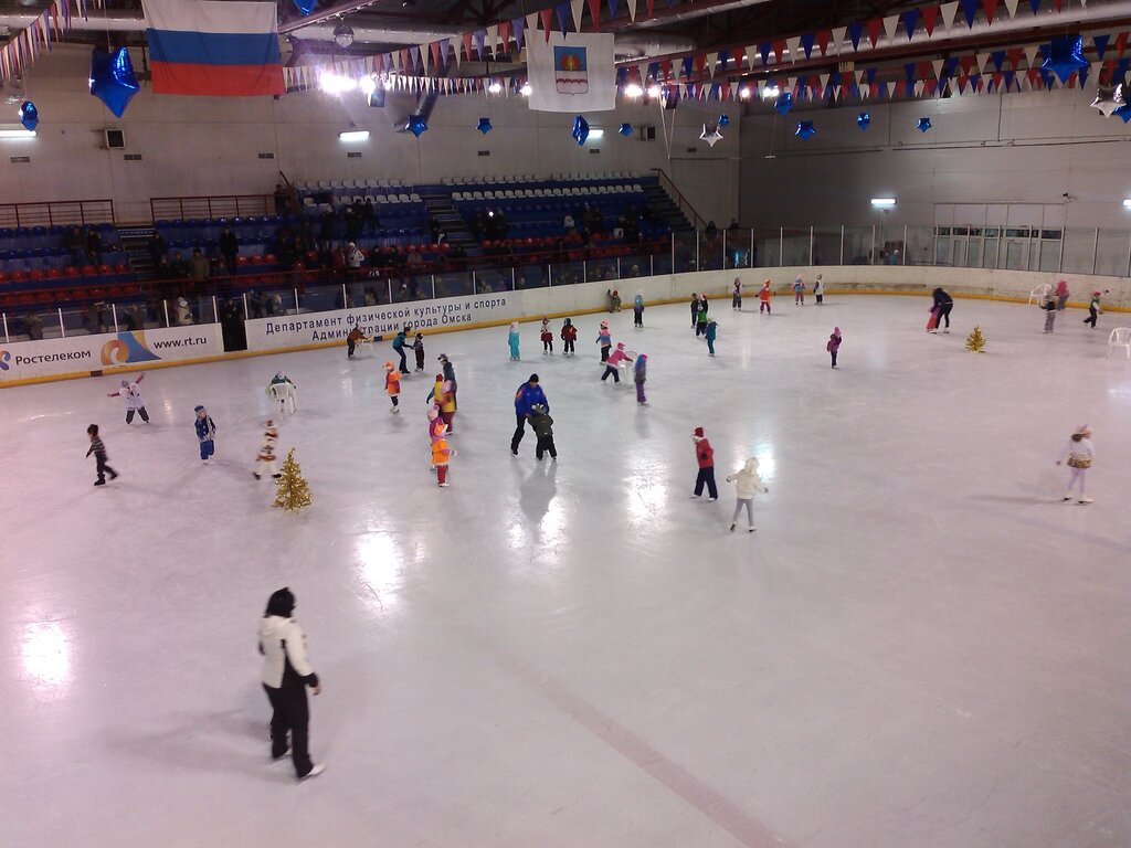 Sports center Fetisov Ice Palace of Sports, Omsk, photo