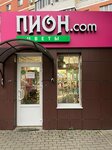 Pion.com (Belgorodskiy Avenue, 88), flower shop