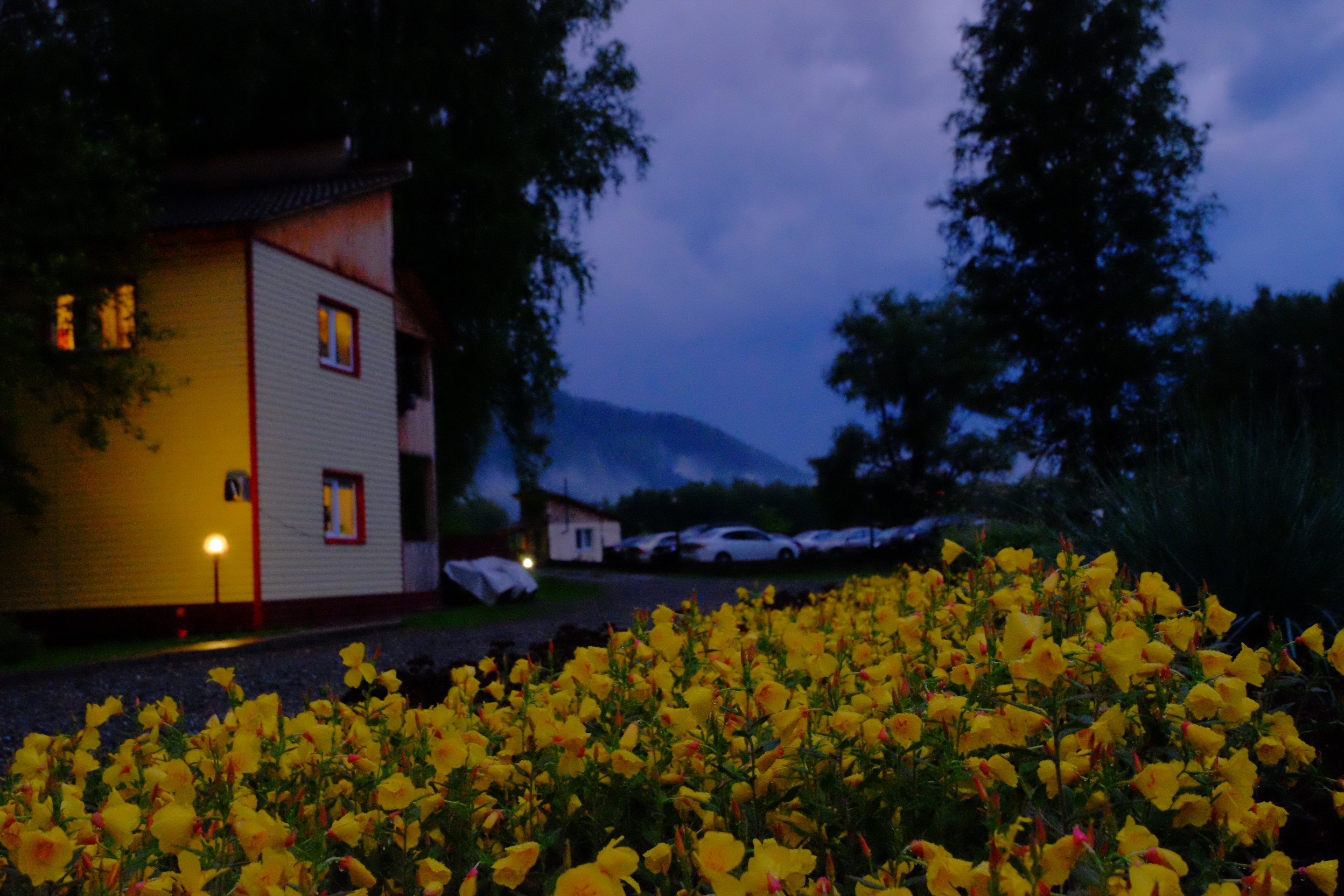 Фото Золоторудная