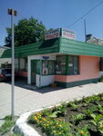 Magazin Fiord (ulitsa Golovko, 48), grocery