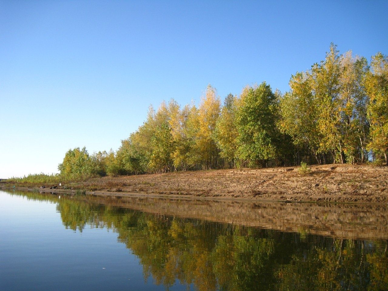 Фото Алимовский плес