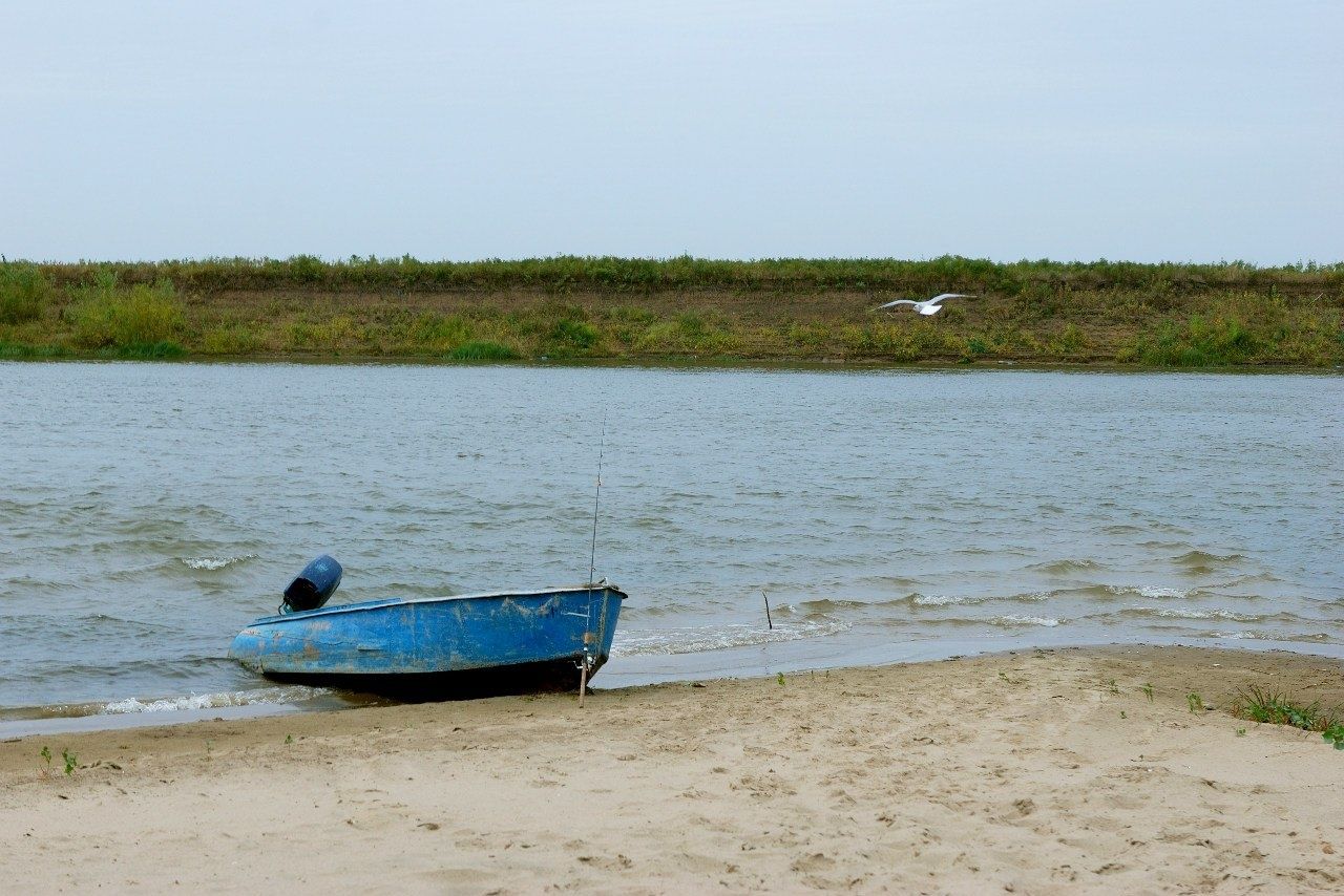 Фото Алимовский плес