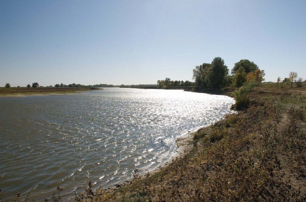 Фото Алимовский плес