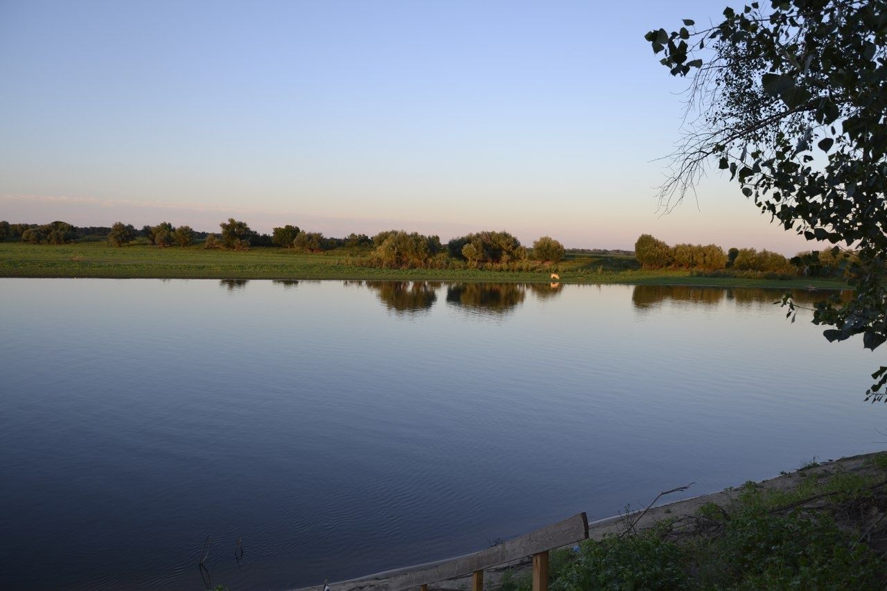 Фото Алимовский плес