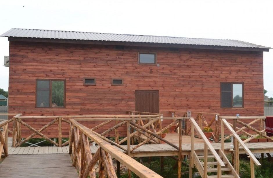 Фото Олигри Fish