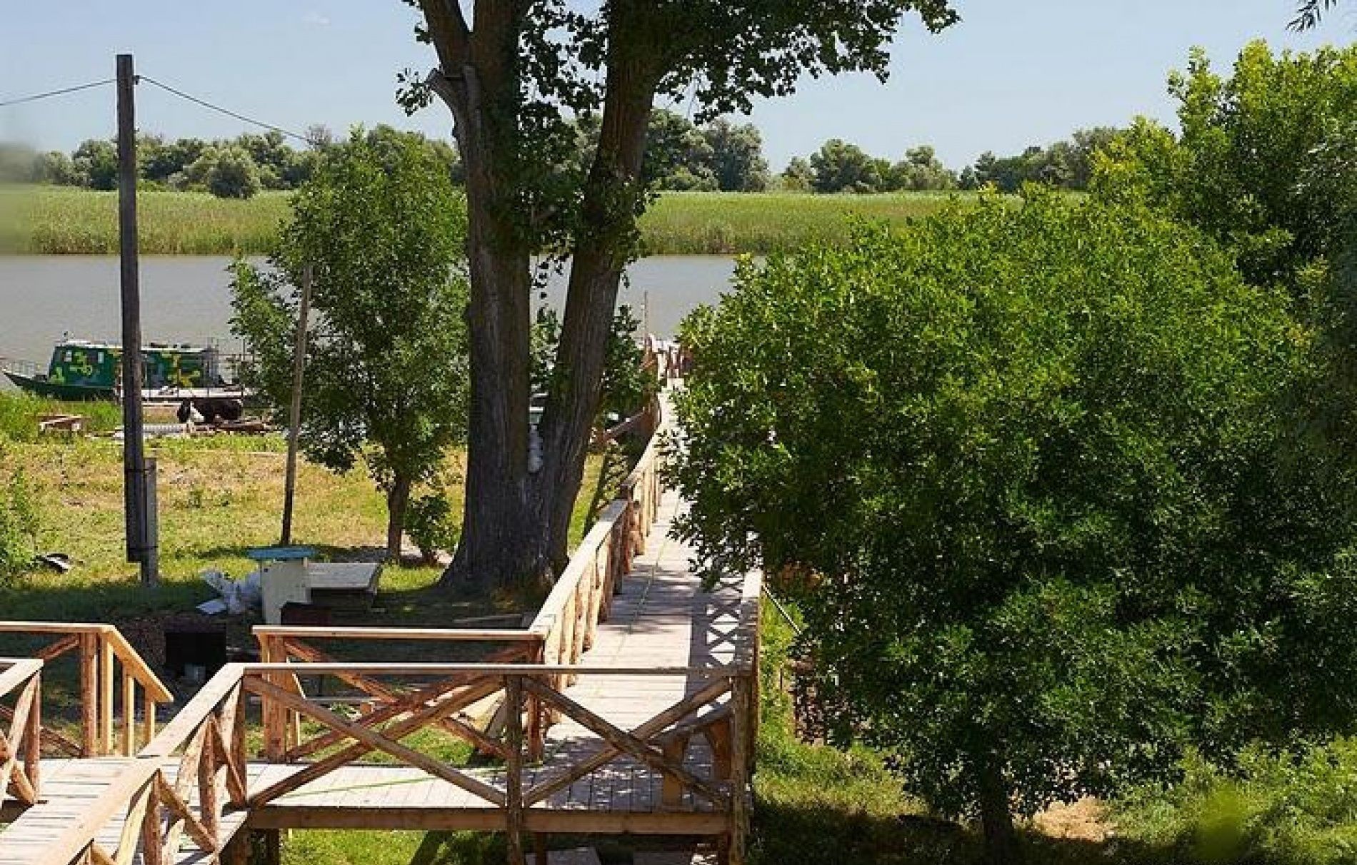 Фото Олигри Fish