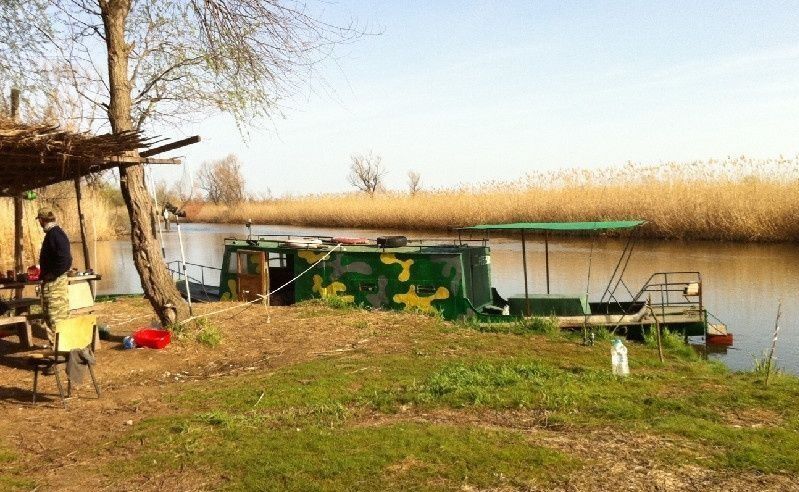 Фото Олигри Fish