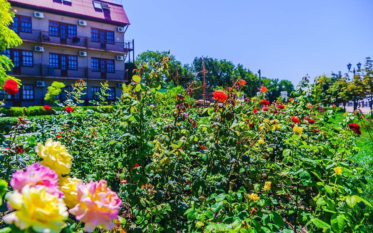 Фото отеля 4