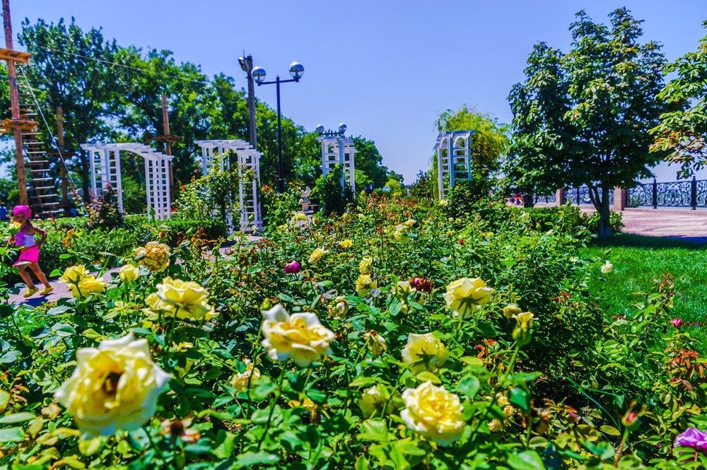 Фото Каменка