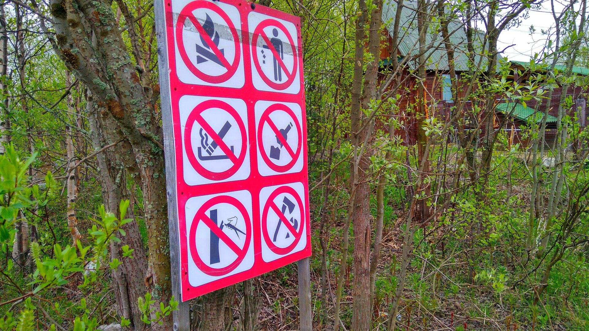 Фото Северное сияние