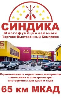 Проект синдика самолет