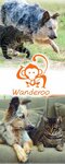 Wanderoo (Yaltinskaya Street, 134) ، متجر للحيوانات الأليفة