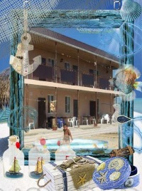 Фото Солнечная поляна