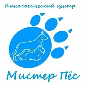 Мистер Пес Зоомагазин Гомель Интернет Магазин
