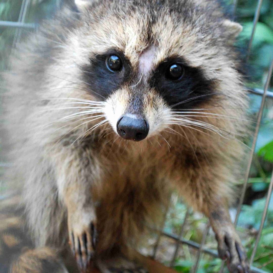 Фото Беловодие