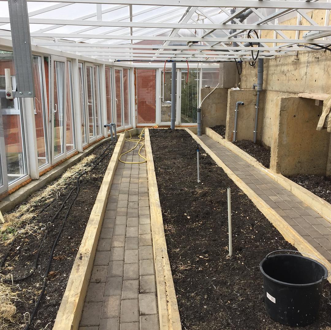 Фото Липовская