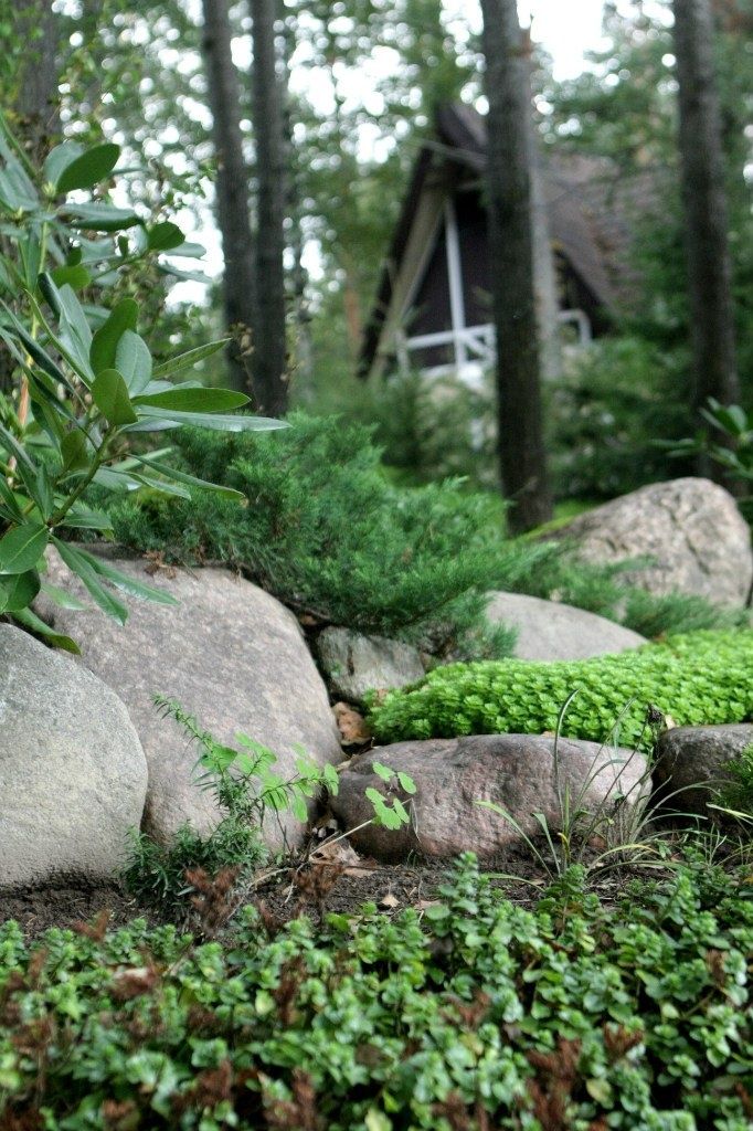 Фото Снежный