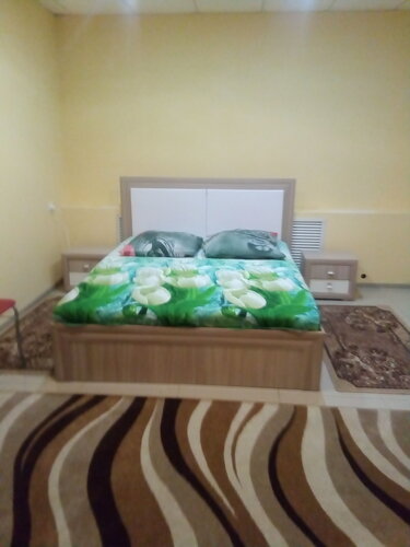 Hotel Avrora, Kamyshlov, photo