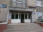 Fur atelier Art-Fur (Sibiryakov-Gvardeytsev Street, 62), fur studio