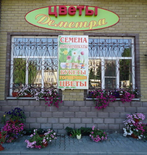 Магазин Семян В Волгограде