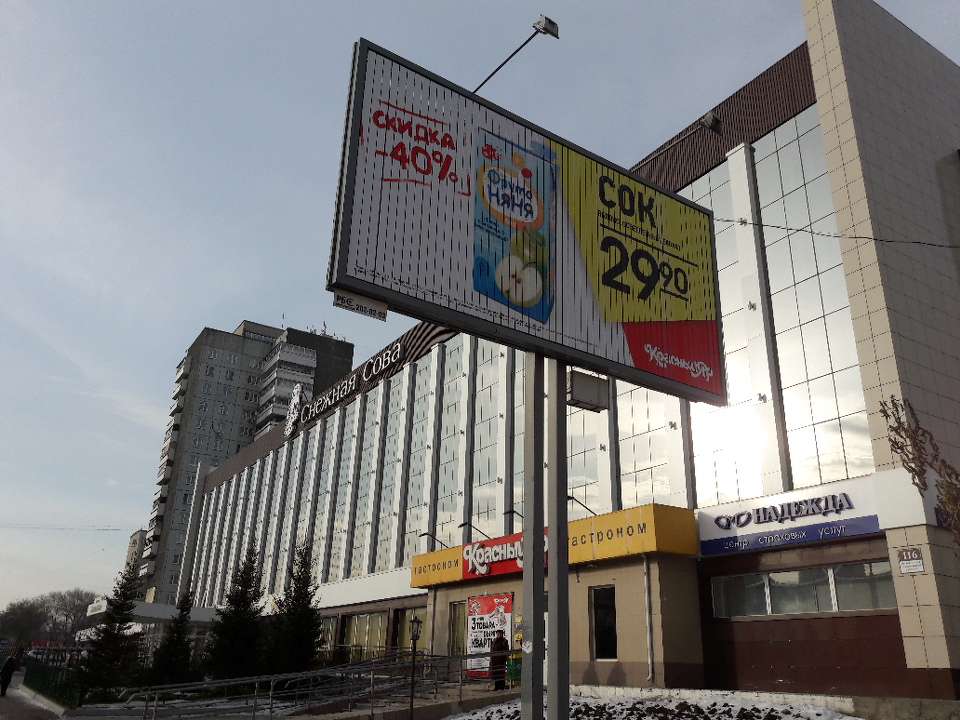 Фото Снежная сова