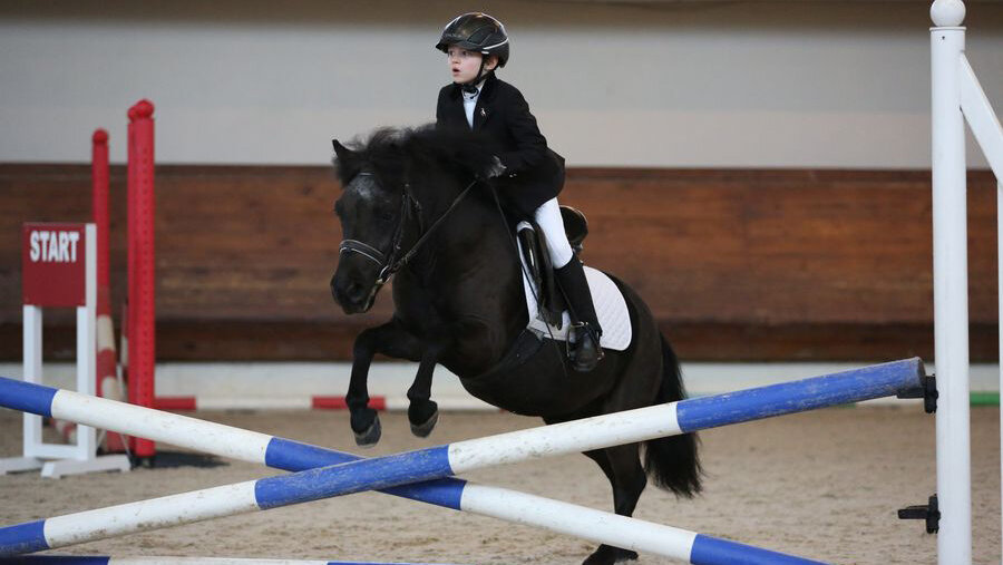 Sports center Grand International Equestrian Club Pradar, Moscow, photo