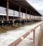 Skk Viktoriya-Agro (Glinki Street, 8А), empresa agrícola