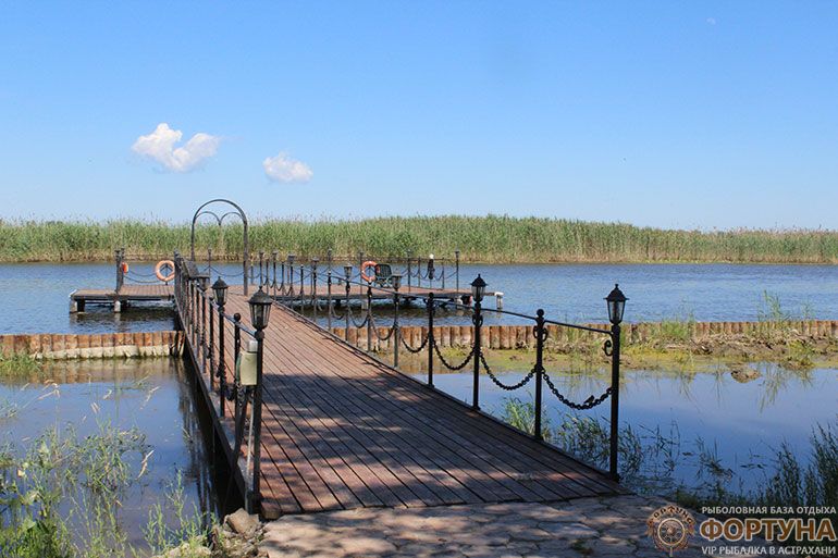 Фото Фортуна