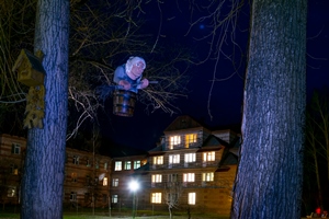 Фото Рассветы над Бией