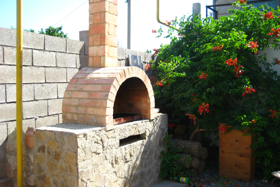 Фото Ласточка