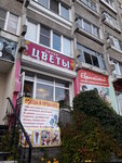Salon Tsvety (mikrorayon Zapadny, bulvar Kosmonavtov, 3), spa