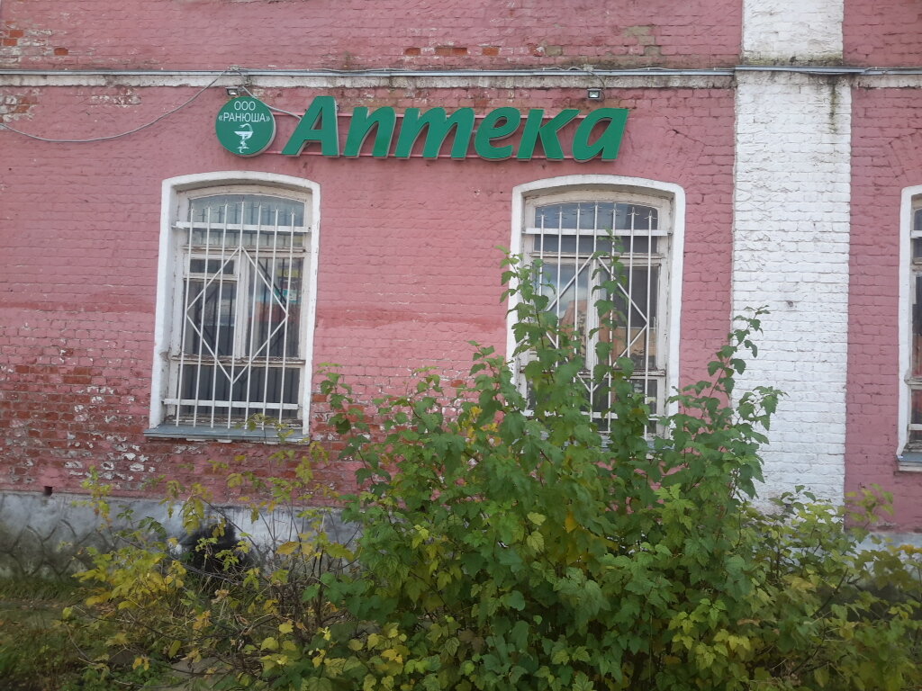 Комнатные Растения Интернет Магазин Орехово Зуево