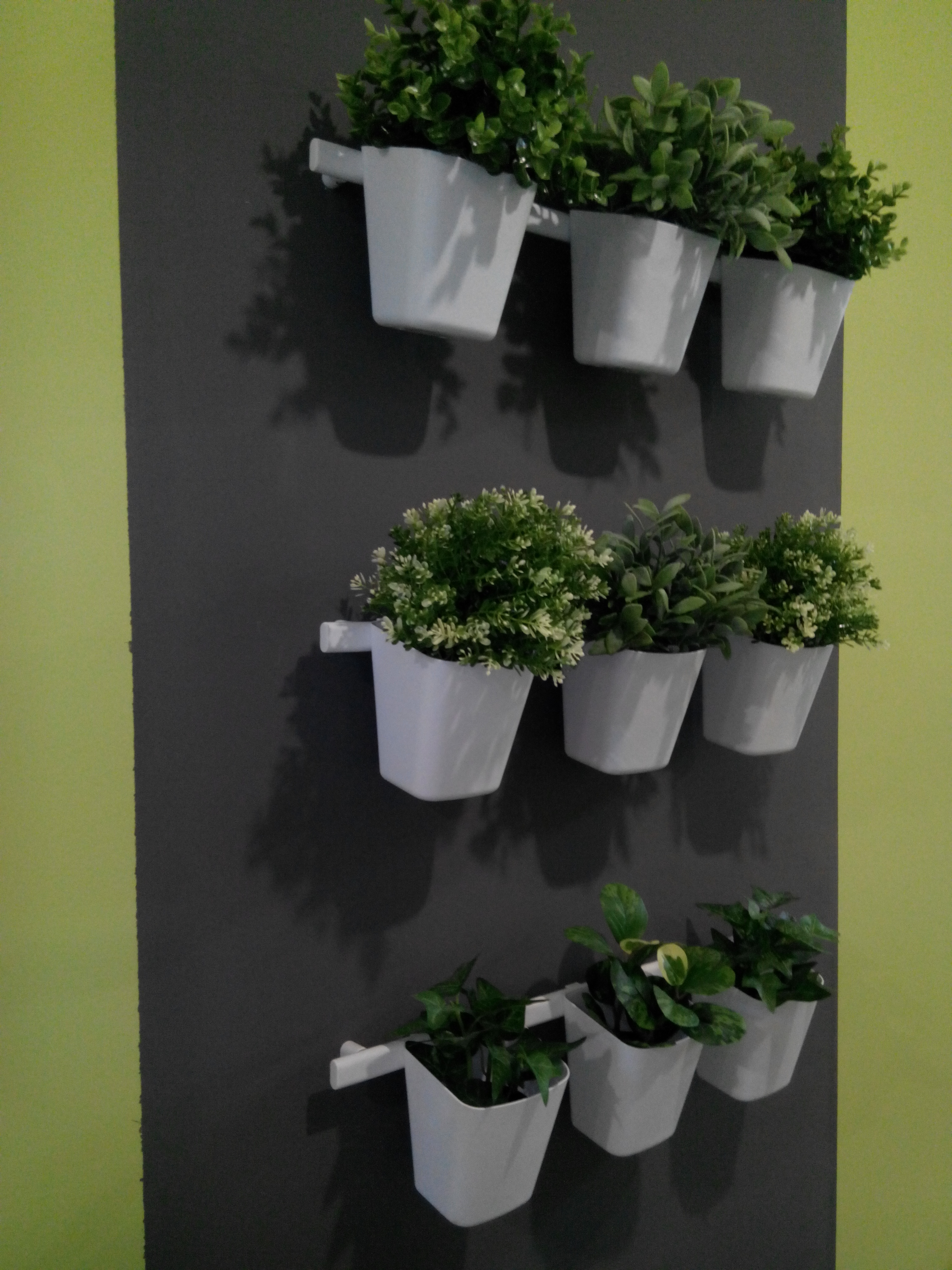 Фото Амосов