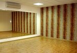 Shkola tantsev DecaDance (Darvina Street, 6), dance school
