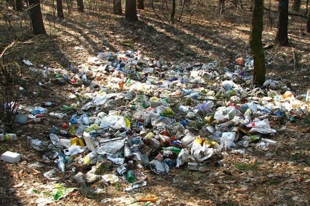 Проект как человек вредит природе