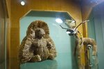 Gosudarstvenny muzey Igrushki (Klovskyi Descent, 8), museum