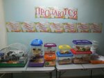 Зоомагазин Котопес (Karla Marksa Street, 24), pet shop