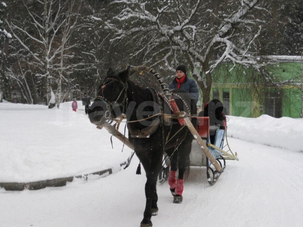 Фото Голицыно
