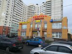 Bi-Bi (Saint Petersburg, Doblesti Street, 28к1), auto parts and auto goods store